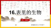 小学语文人教部编版六年级下册15 表里的生物背景图课件ppt