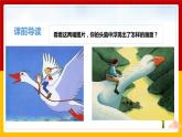 6.《骑鹅旅行记》（课件+教案+练习）