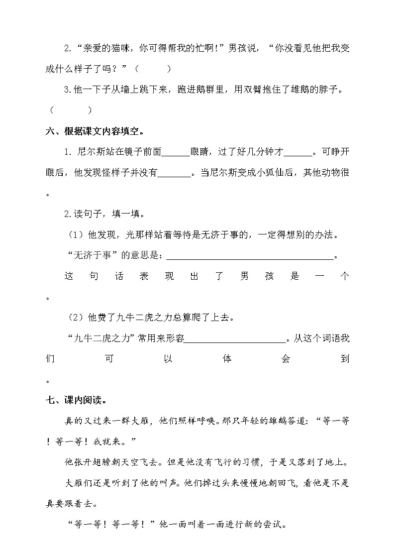 6.《骑鹅旅行记》（课件+教案+练习）02