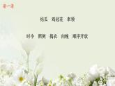 部编四年级下册乡下人家课件PPT