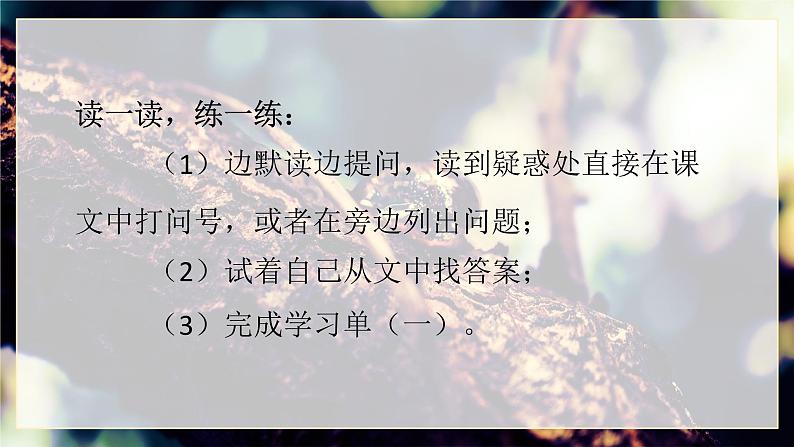 部编版四年级下册语文5.琥珀课件PPT第4页