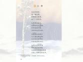 部编版四年级下册语文白桦课件PPT