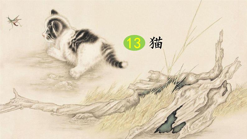 四年级下册第四单元13《猫》课件PPT第7页