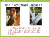 统编版语文四上第6单元18《牛和鹅》课时1课件PPT