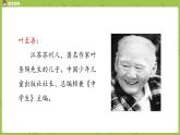 统编版语文四上第6单元19《一只窝囊的大老虎》课件PPT