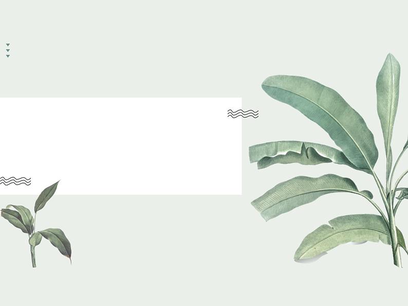 写作秘诀—风景美如画ppt第2页