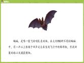 统编版语文四上第2单元6《蝙蝠与雷达》课时1课件PPT