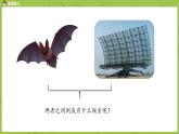 统编版语文四上第2单元6《蝙蝠与雷达》课时1课件PPT