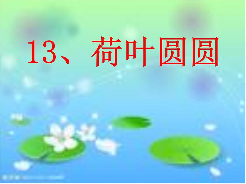 部编版小学语文一年级《课文13：荷叶圆圆》课件01