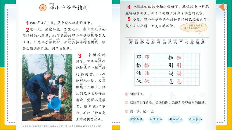 4.邓小平爷爷植树(第一课时)课件PPT06