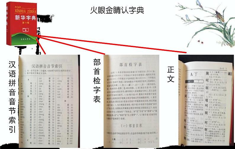 语文园地三音序查字法（课件）语文一年级下册03