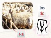 12 亡羊补牢（课件+教案+学案+练习）