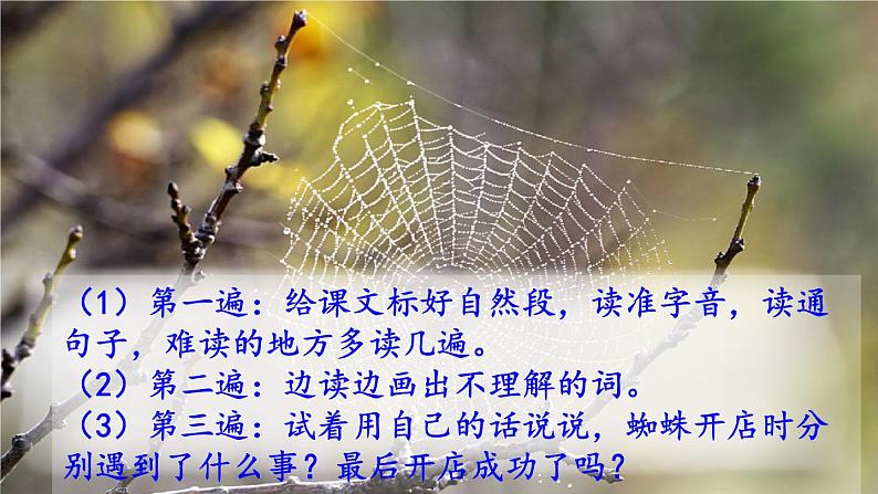 20 蜘蛛开店（课件+教案+学案+练习-含答案）05