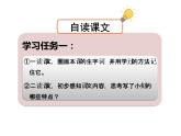 部编版三年级语文下第四单元 15《小虾》课件PPT