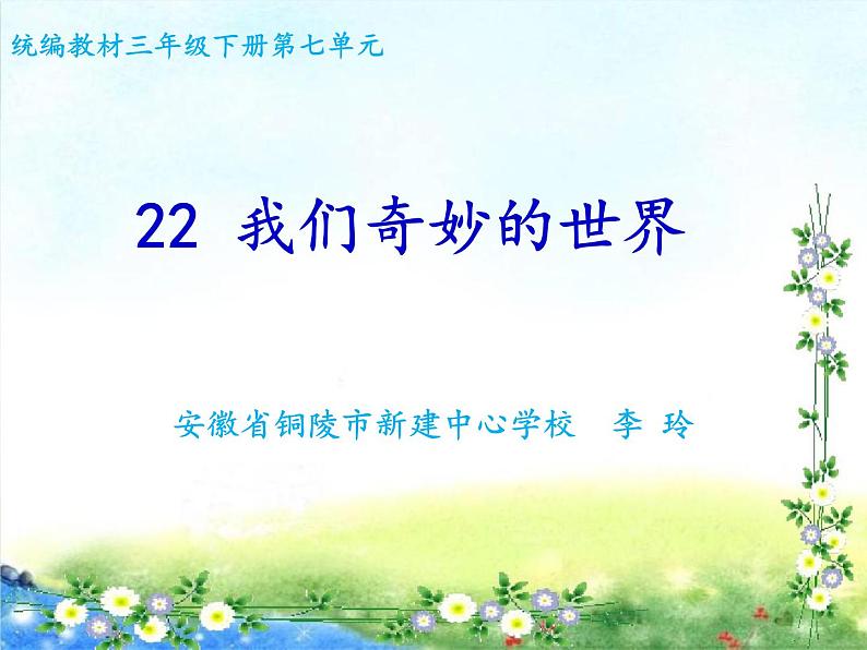 部编版三年级下册语文22 我们奇妙的世界课件PPT02