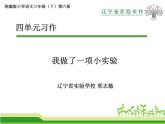 部编版三年级语文下《我做了一项小实验》课件PPT