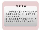 部编版三年级语文下《我做了一项小实验》课件PPT