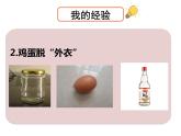 部编版三年级语文下《我做了一项小实验》课件PPT