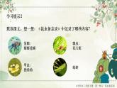 部编版三年级下册语文第一单元4《昆虫备忘录》课件PPT