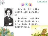 部编版三年级语文下第四单元14《蜜蜂》课件PPT