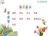 部编版三年级语文下第四单元14《蜜蜂》课件PPT