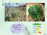 识字4 中国美食 趣味识字 生字教学课件PPT