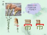 二下語文園地七 趣味識字 生字教學(xué)課件PPT