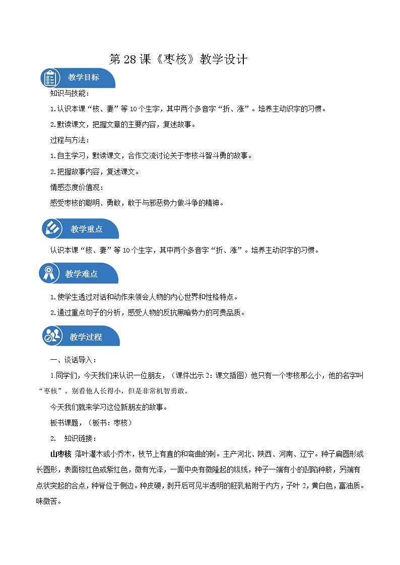 三年级下册 教案 28.《枣核》 小学语文人教部编版（2022年）01