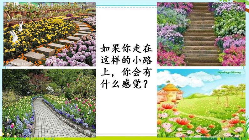 《3.开满鲜花店的小路》课件PPT第4页