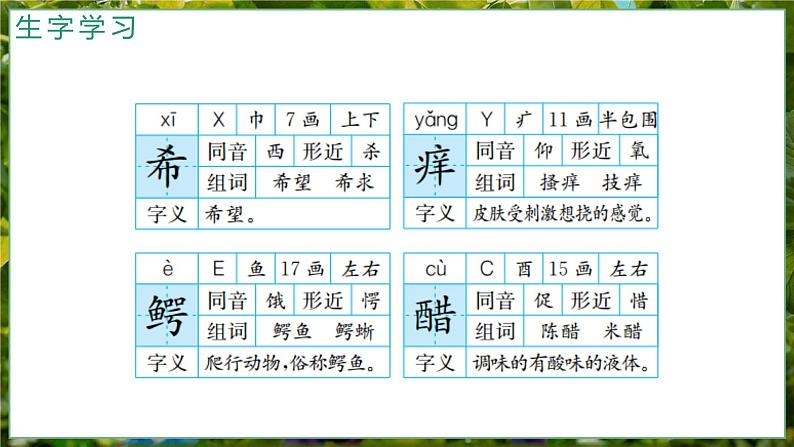 人教部编版小学语文三下17《我变成了一棵树》课件4第4页