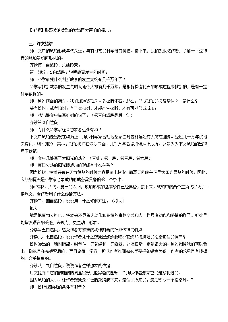 四年级下册 教案 5.琥珀 小学语文人教部编版（2022年）02