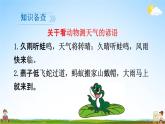 人教部编版一年级语文下册14《要下雨了》精品教学课件PPT小学优秀公开课6