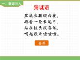 人教版语文一年级下册 第三单元 6  树和喜鹊（第一课时）课件PPT