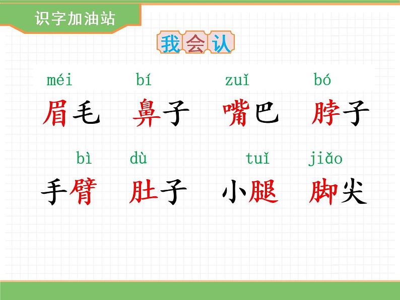 人教版语文一年级下册 第四单元 语文园地四课件PPT第4页