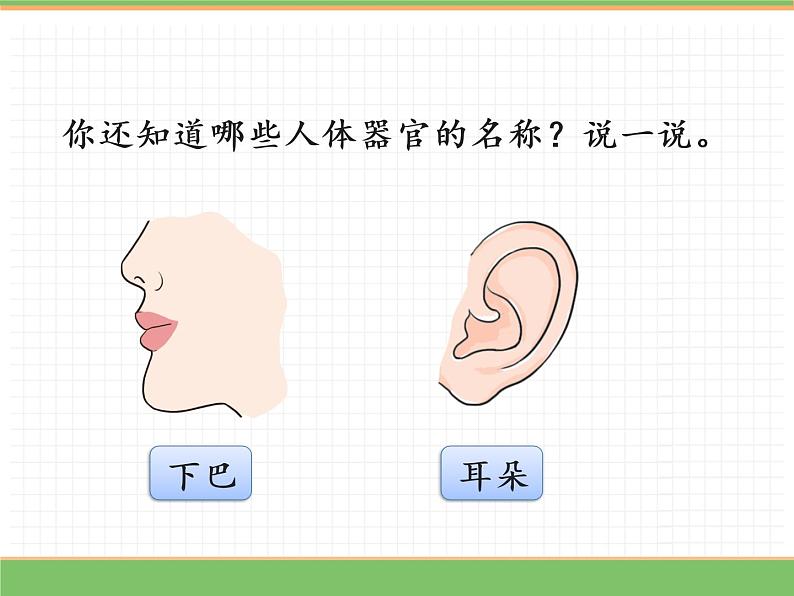 人教版语文一年级下册 第四单元 语文园地四课件PPT第8页