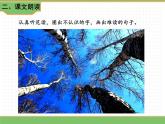 人教版语文四年级下册 第三单元 11 白桦 第一课时课件PPT