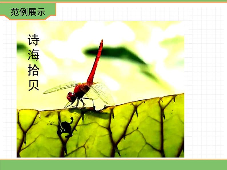 人教版语文四年级下册 第三单元 综合性学习：轻叩诗歌大门课件PPT第8页