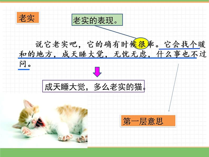 人教版语文四年级下册 第四单元 13 猫 第二课时课件PPT第4页