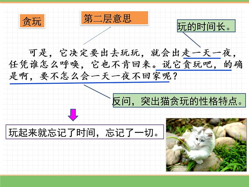 人教版语文四年级下册 第四单元 13 猫 第二课时课件PPT第5页