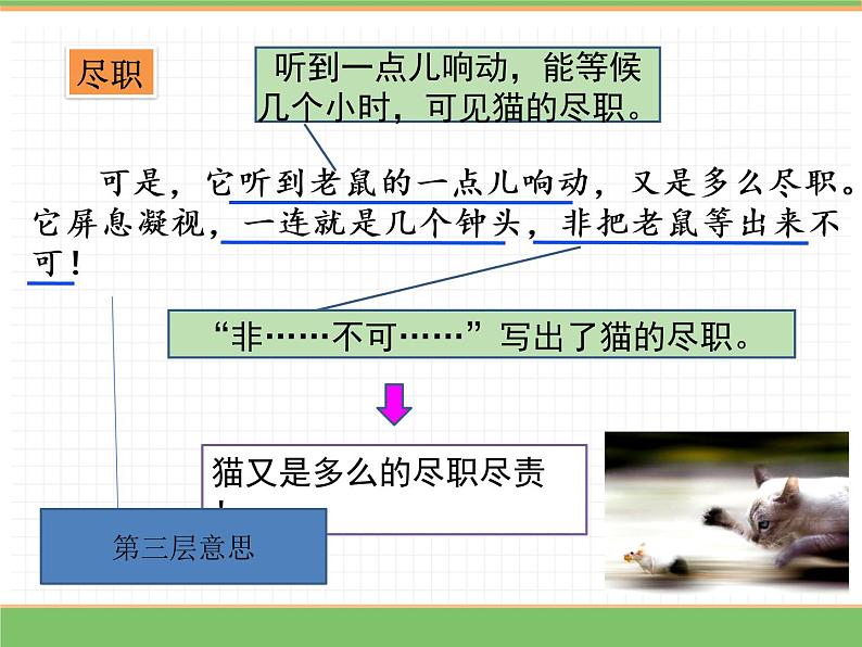 人教版语文四年级下册 第四单元 13 猫 第二课时课件PPT第7页