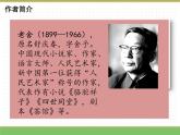 人教版语文四年级下册 第四单元 13 猫 第一课时课件PPT