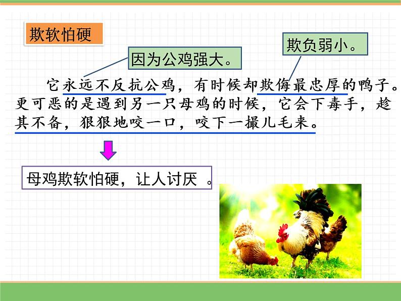 人教版语文四年级下册 第四单元 14 母鸡 第二课时课件PPT第7页