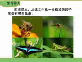 人教版语文五年级下册 第一单元 2 祖父的园子 第二课时课件PPT