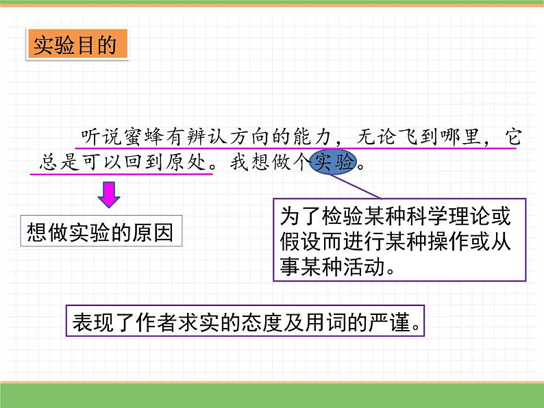 人教版语文三年级下册 第四单元 14 蜜蜂 第二课时课件PPT04