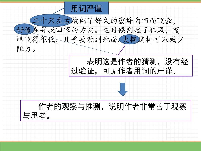 人教版语文三年级下册 第四单元 14 蜜蜂 第二课时课件PPT08