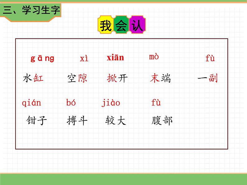 人教版语文三年级下册 第四单元 15小虾课件PPT第6页