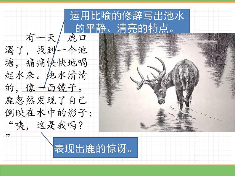 人教版语文三年级下册 第二单元 7 鹿角和鹿腿 第二课时课件PPT第5页