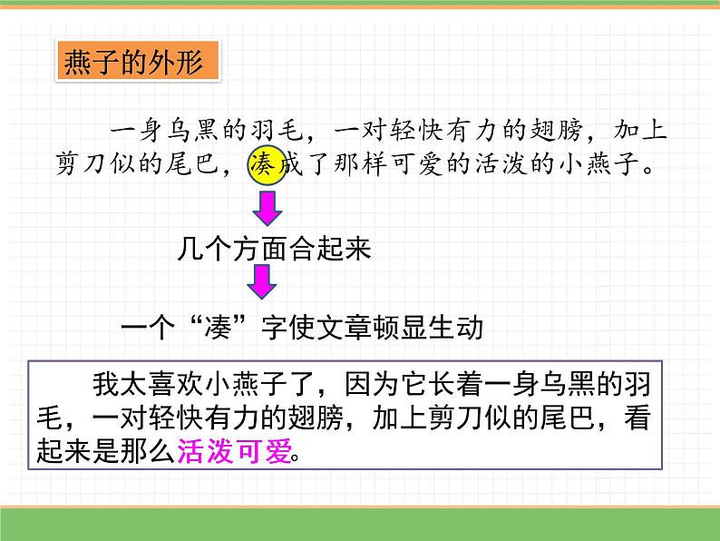 人教版语文三年级下册 第一单元 2 燕子 第二课时课件PPT第4页