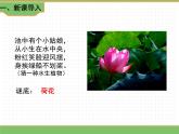 人教版语文三年级下册 第一单元 3 荷花 第一课时课件PPT