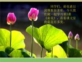 人教版语文三年级下册 第一单元 3 荷花 第一课时课件PPT